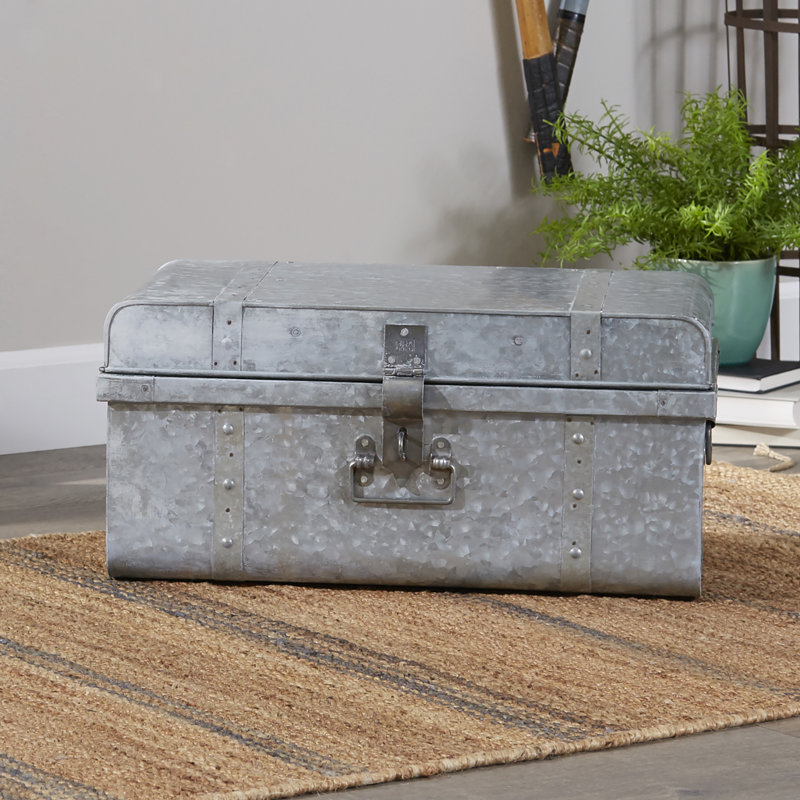 Decorative Trunks Birch Lane